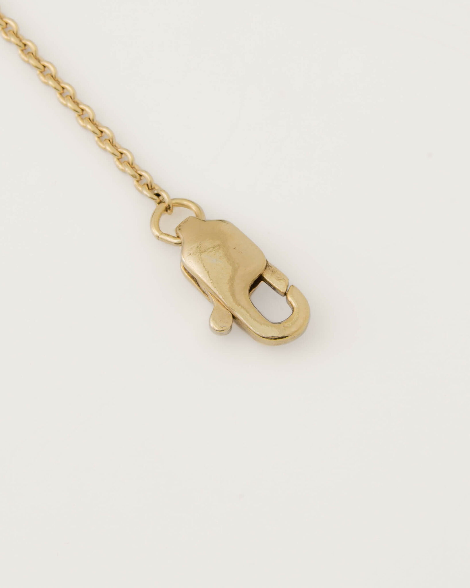 the-mini-link-necklace-gold-clasp